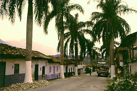 San-Carlos3